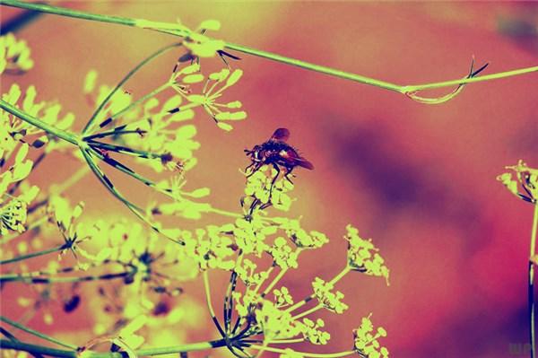 人生的路，经历过，才知道有短有长；早安(图1)