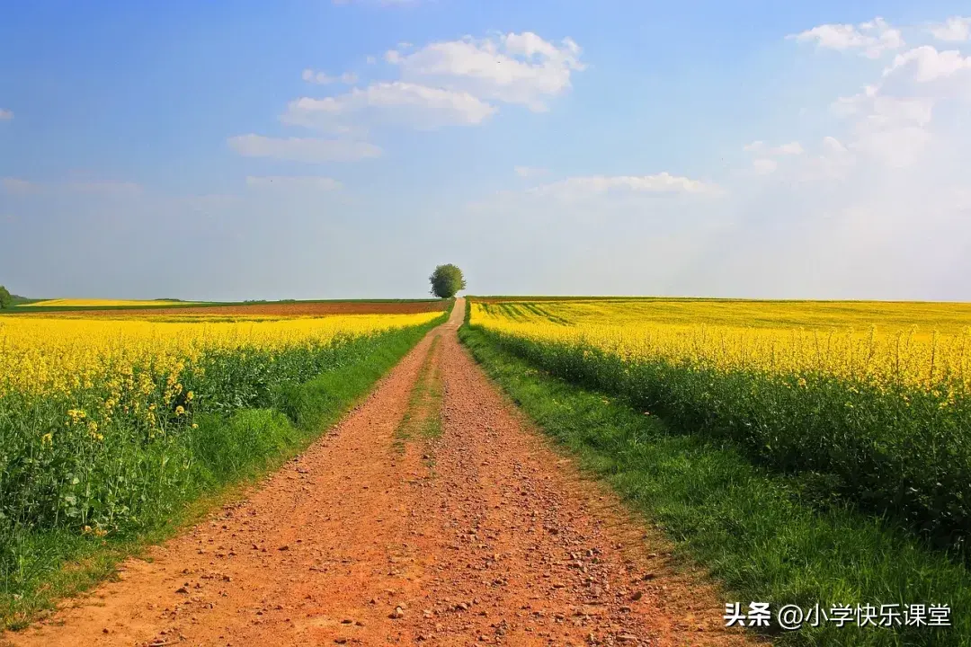 4月再见，5月你好的朋友圈限定唯美文案(图2)