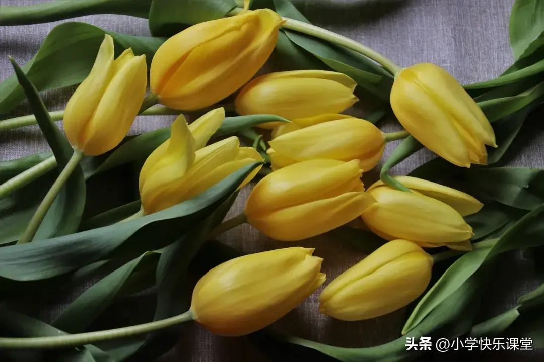 4月再见，5月你好的朋友圈限定唯美文案(图4)