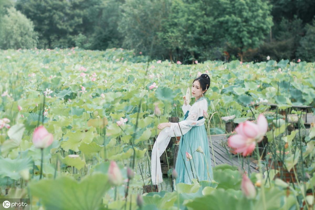 45句描写荷花的唯美古诗词：荷叶罗裙一色裁，芙蓉向脸两边开(图3)