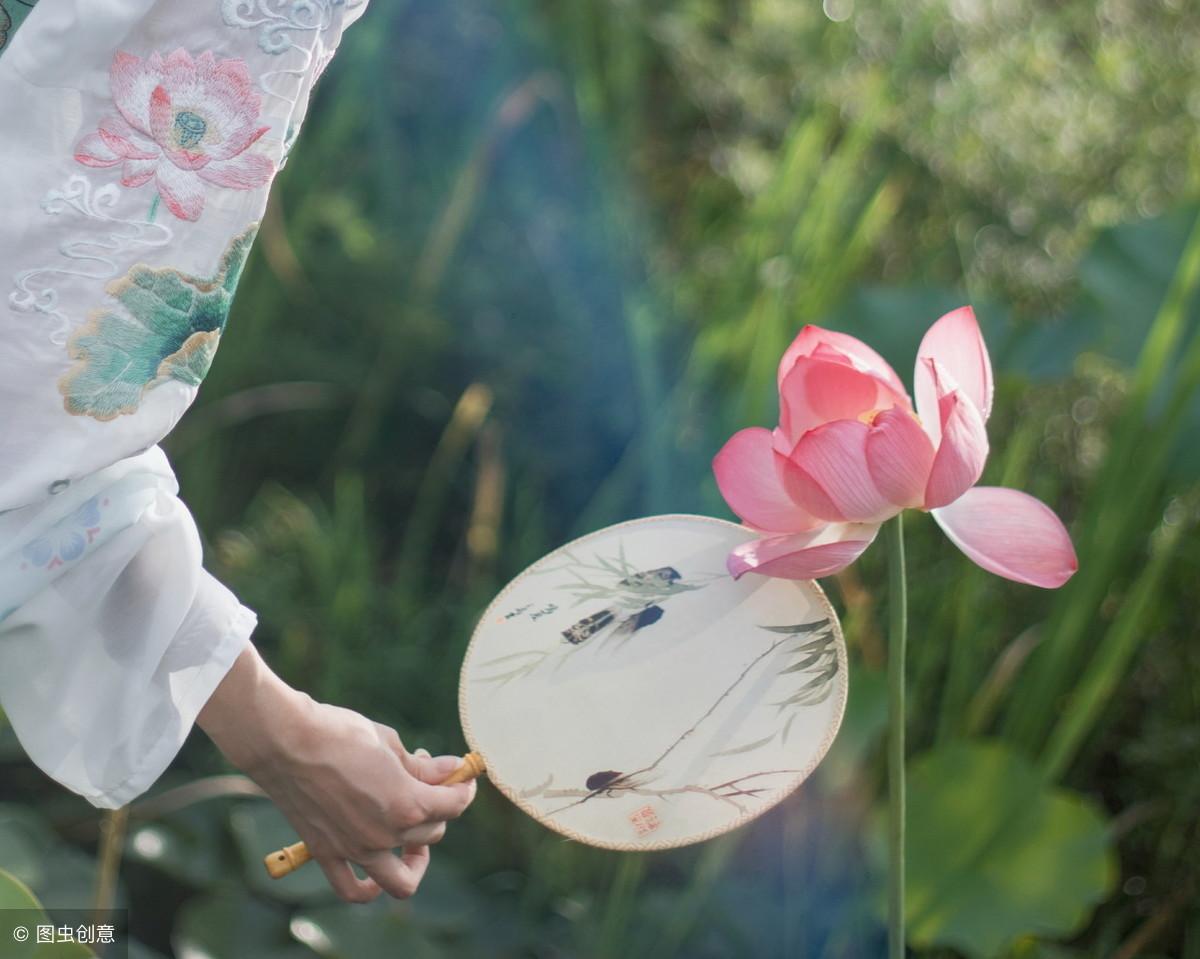 45句描写荷花的唯美古诗词：荷叶罗裙一色裁，芙蓉向脸两边开(图5)
