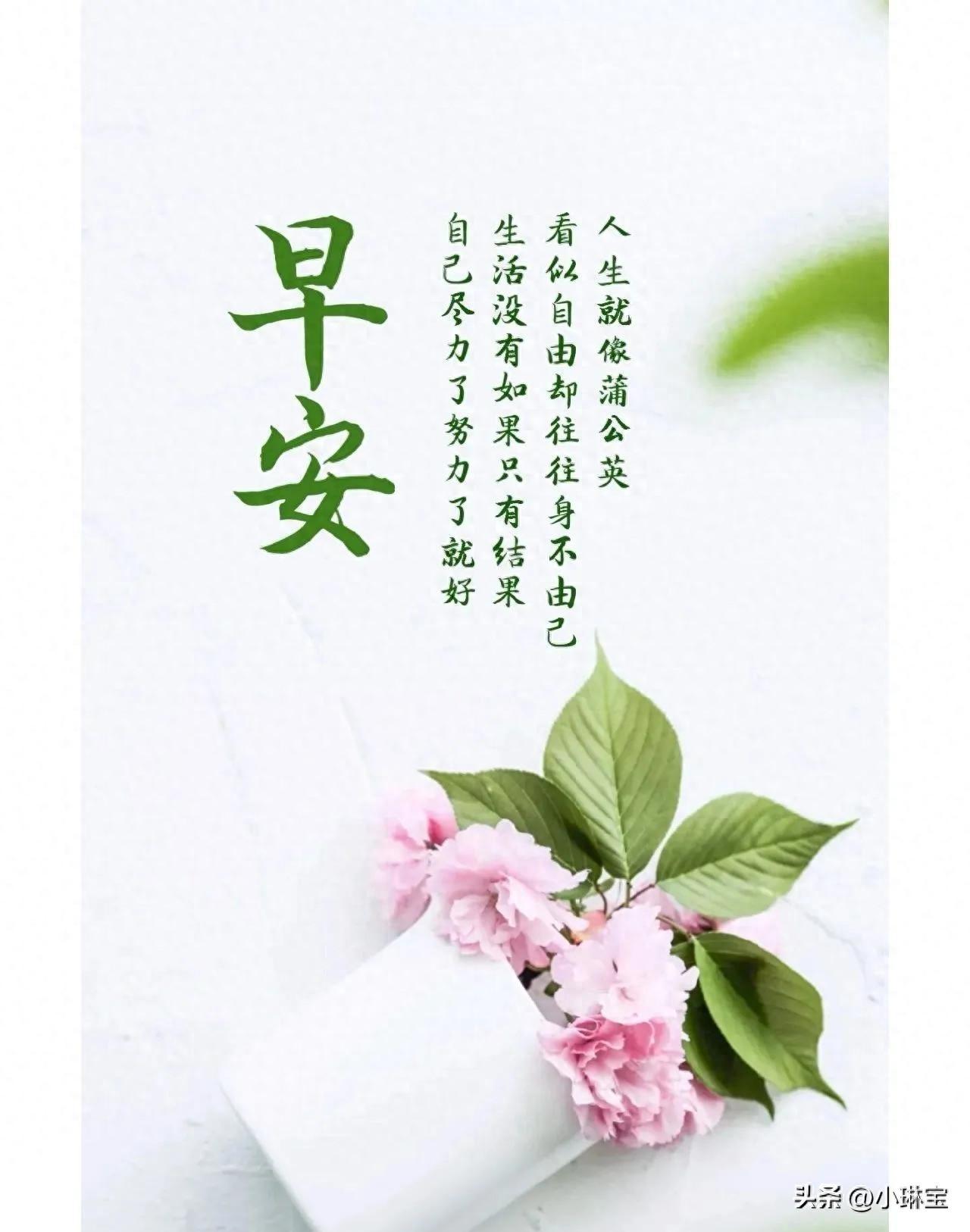 2023.1.11正能量早安问候语，早晨问好的励志优美句子，(图1)