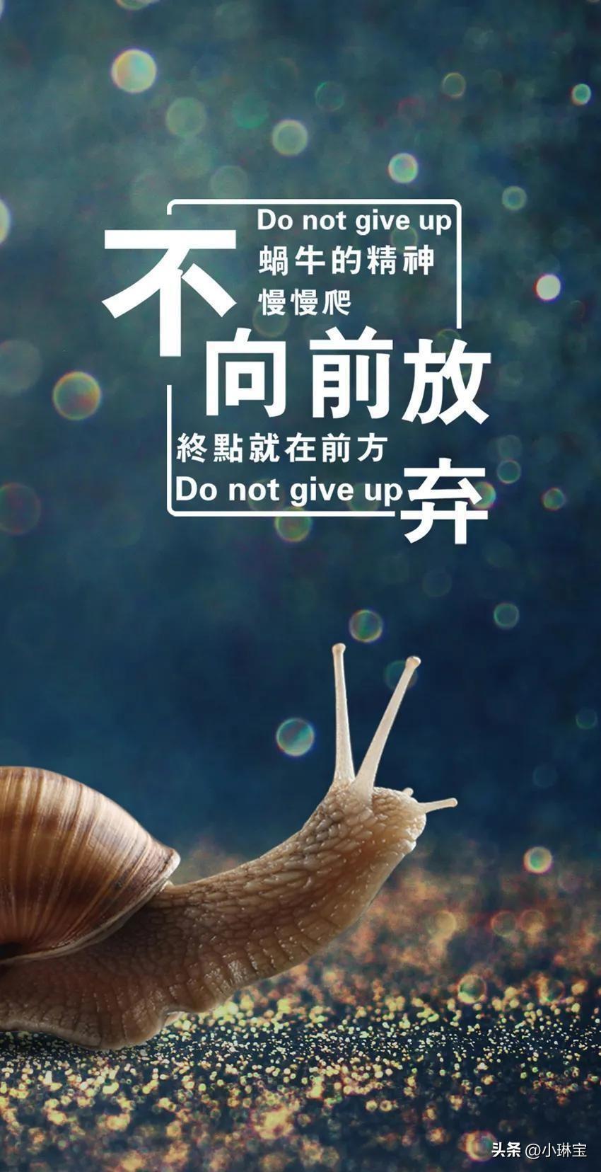 2023.1.11正能量早安问候语，早晨问好的励志优美句子，(图3)