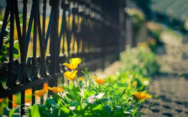 人生感悟励志语录正能量句子！新的一天，新的开始！(图6)