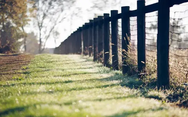 人生感悟励志语录正能量句子！新的一天，新的开始！(图7)