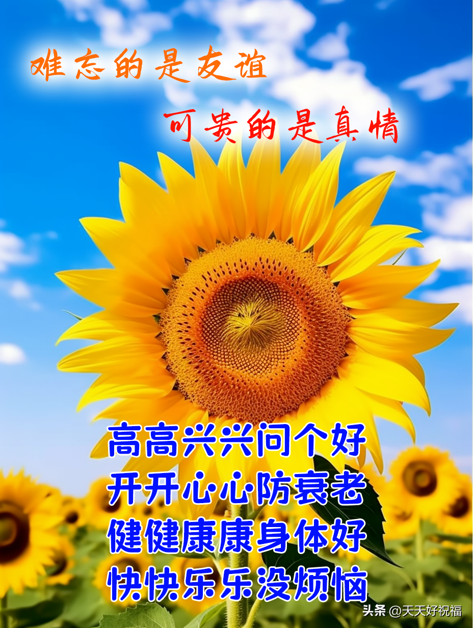 11月早上好，正能量漂亮早上好图片心语文案，早安正能量励志图片(图4)