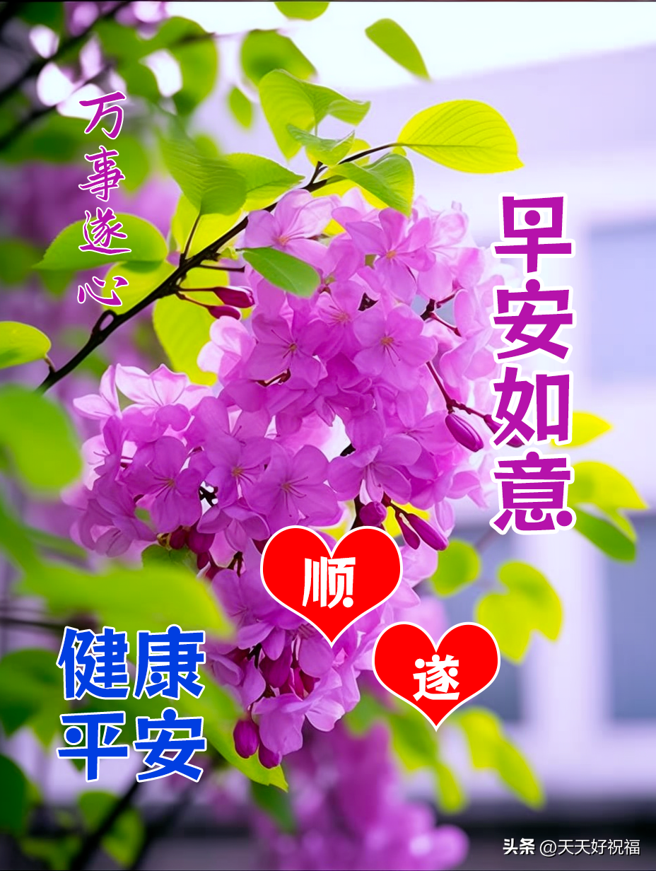 11月早上好，正能量漂亮早上好图片心语文案，早安正能量励志图片(图6)