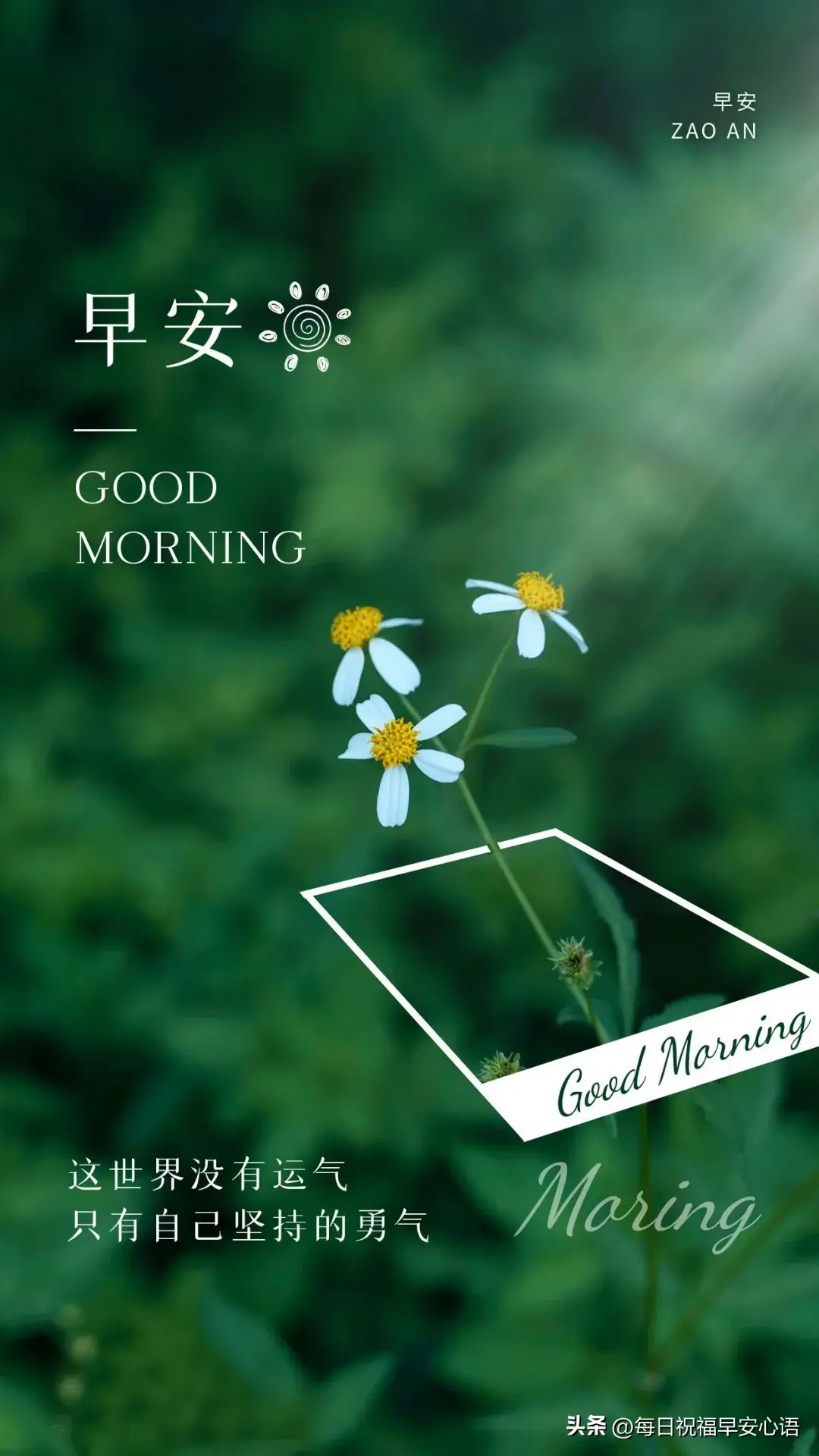 今日20条一句话早安文案励志短句，新的一天，早上好(图3)