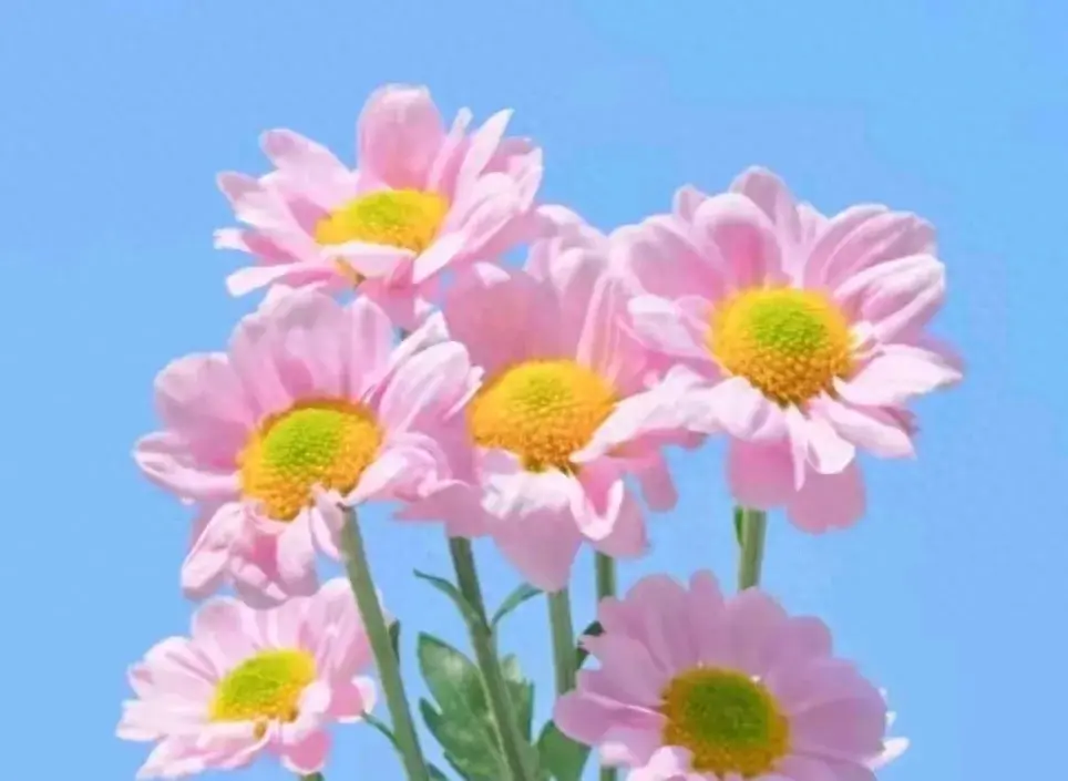 你怎可亏待自己？以下30句激励之语，点亮你热烈而精彩的余生！(图1)