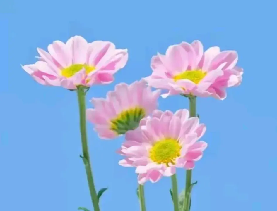 你怎可亏待自己？以下30句激励之语，点亮你热烈而精彩的余生！(图2)