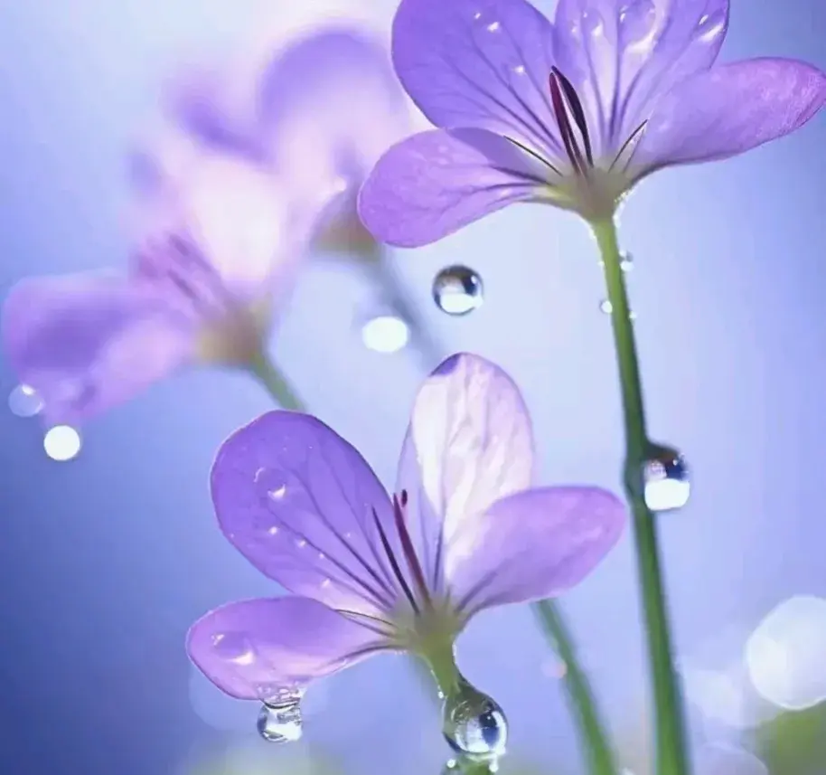 你怎可亏待自己？以下30句激励之语，点亮你热烈而精彩的余生！(图3)