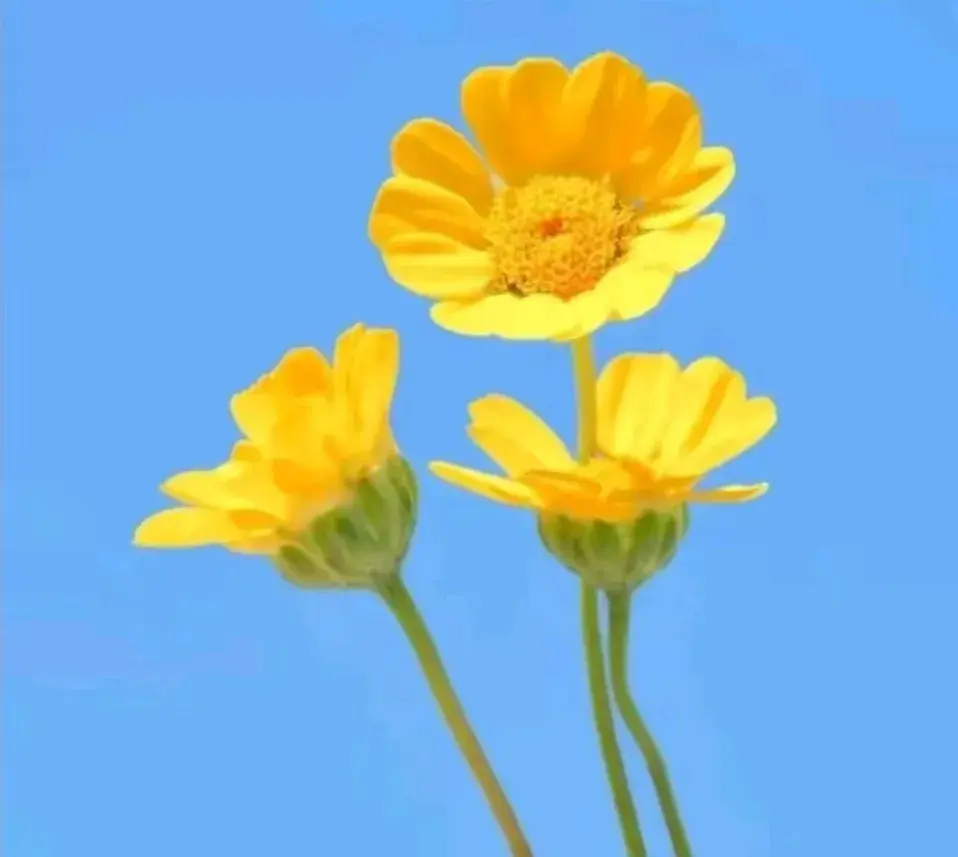 你怎可亏待自己？以下30句激励之语，点亮你热烈而精彩的余生！(图4)