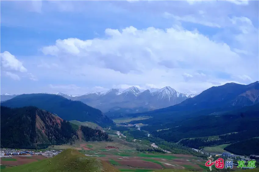 初夏卓尔山：白雪映青草，美得圣洁无暇卓尔不群(图3)