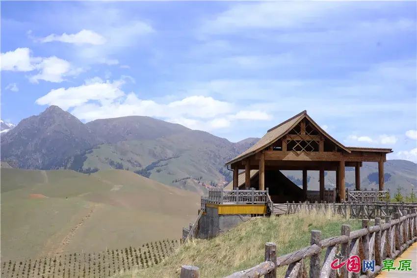 初夏卓尔山：白雪映青草，美得圣洁无暇卓尔不群(图7)