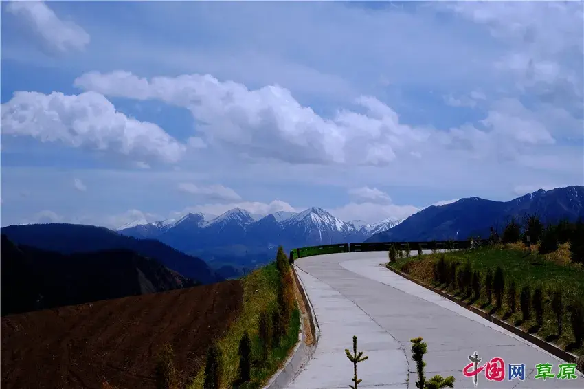 初夏卓尔山：白雪映青草，美得圣洁无暇卓尔不群(图8)