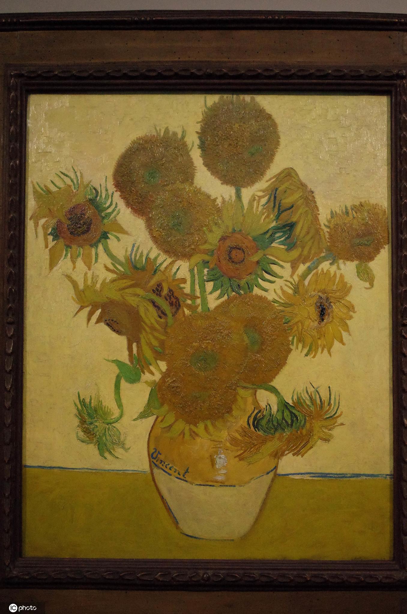 向日葵：心向阳 满希望(图2)