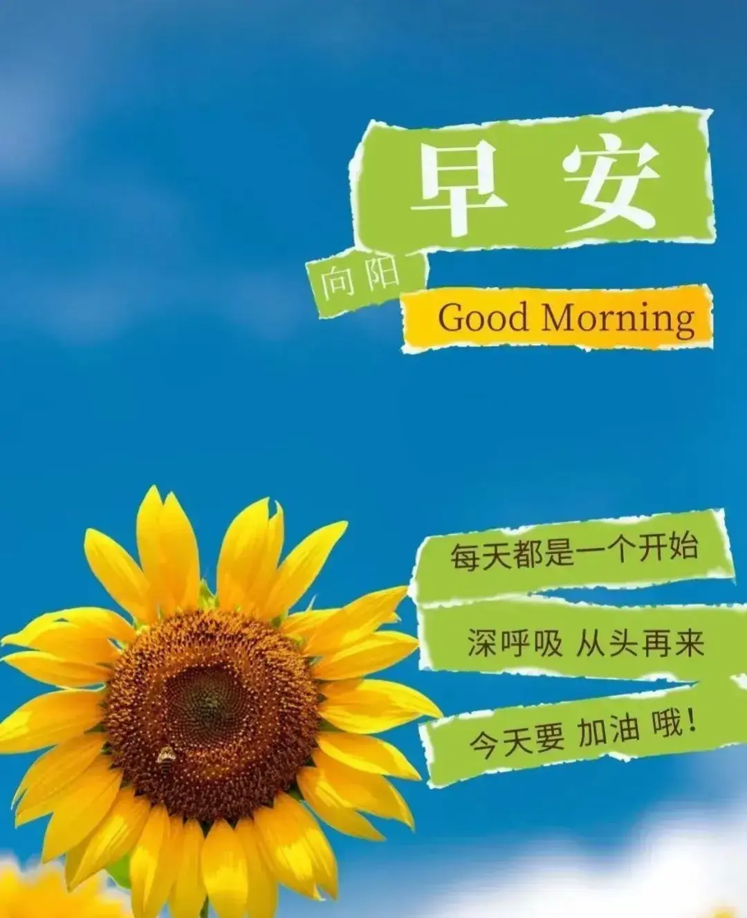 放下执念的早晨正能量感悟句子，一切都会过去，别再委屈自己(图3)