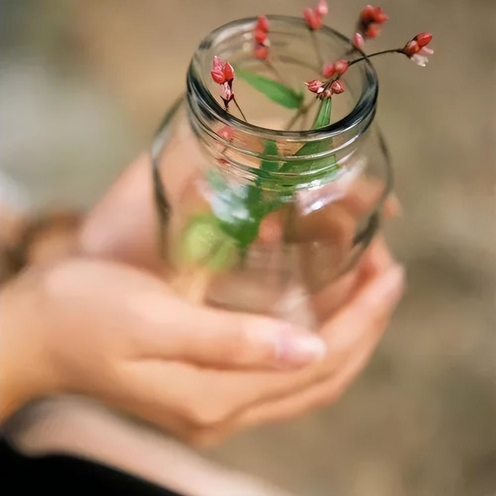 放不下一个人的时候，想想这些话，就释然了(图2)