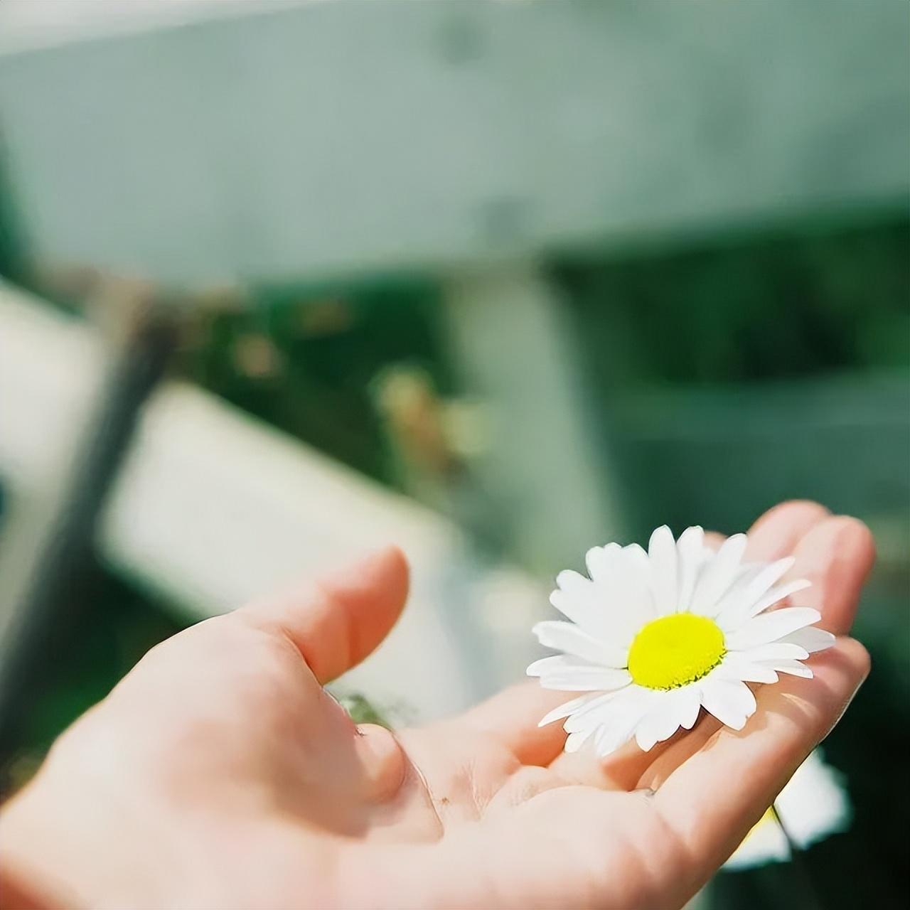 放不下一个人的时候，想想这些话，就释然了(图4)