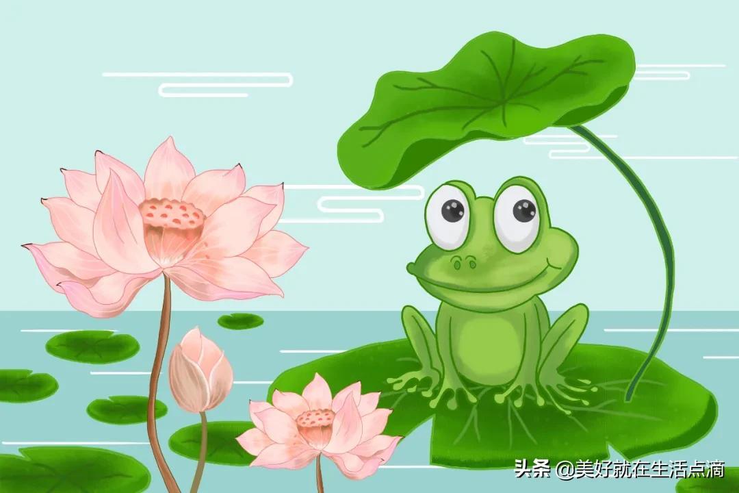 动物外貌描写(图8)