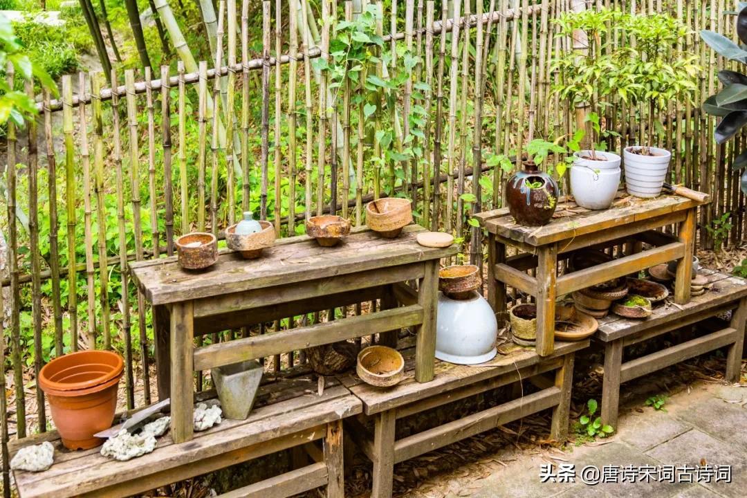 青山修竹矮篱笆，仿佛林泉隐者家(图4)