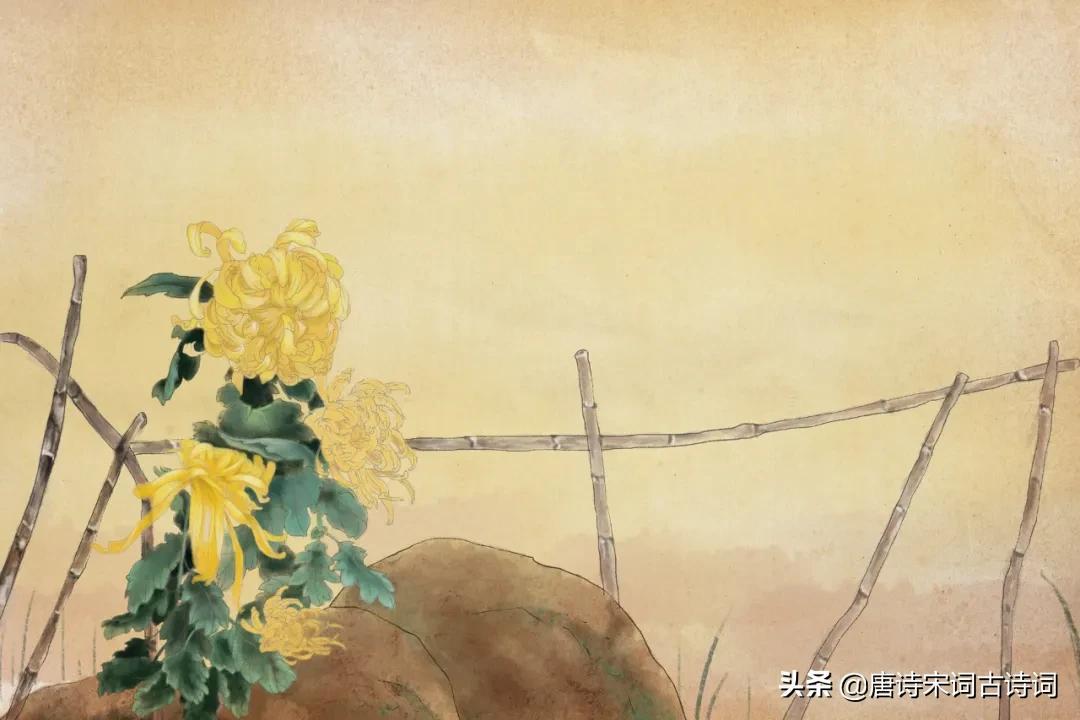 青山修竹矮篱笆，仿佛林泉隐者家(图5)