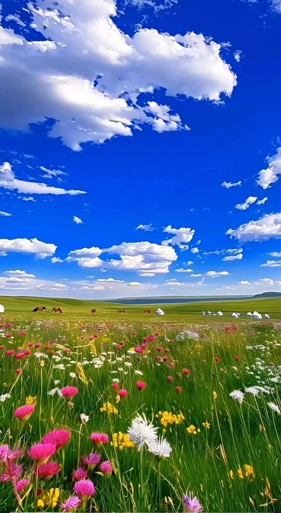 ​人生短暂，一晃就老，该吃吃，该喝喝，有事别往心里搁(图3)