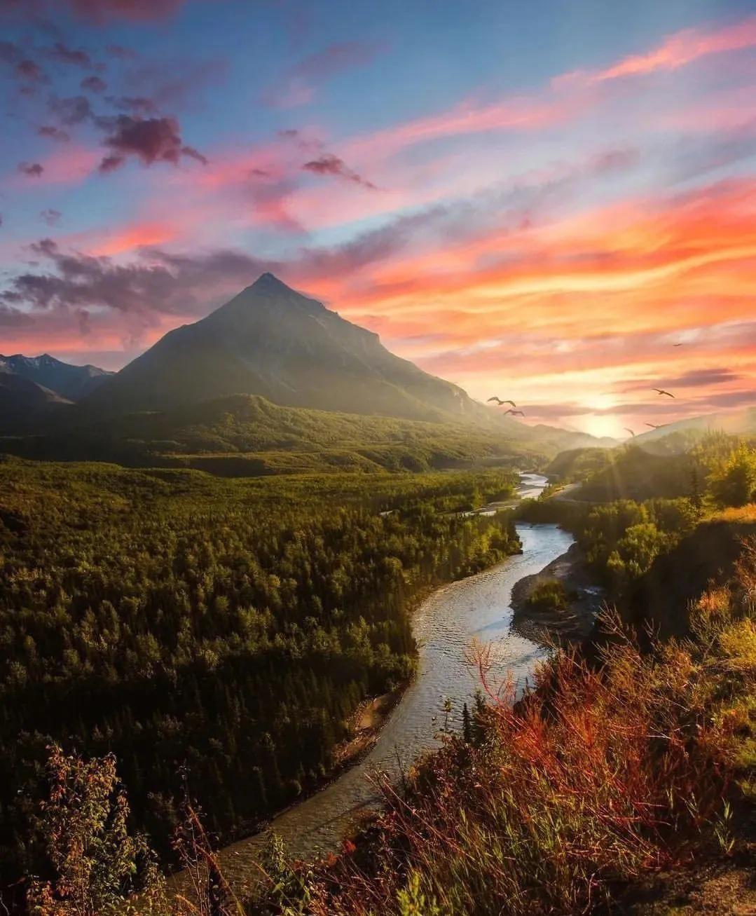 优美的小说短句(图1)