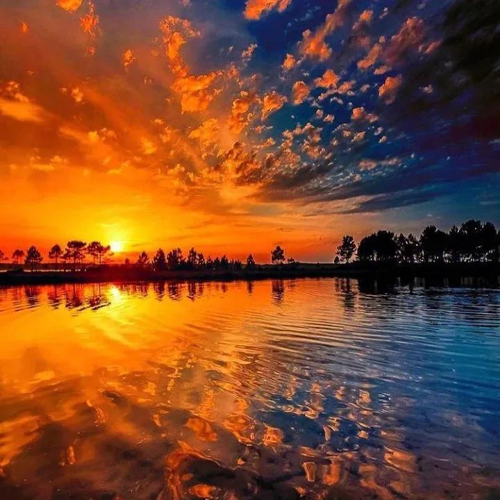 优美的小说短句(图2)