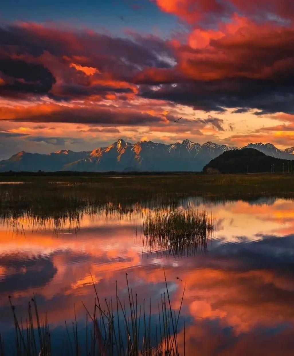 优美的小说短句(图3)