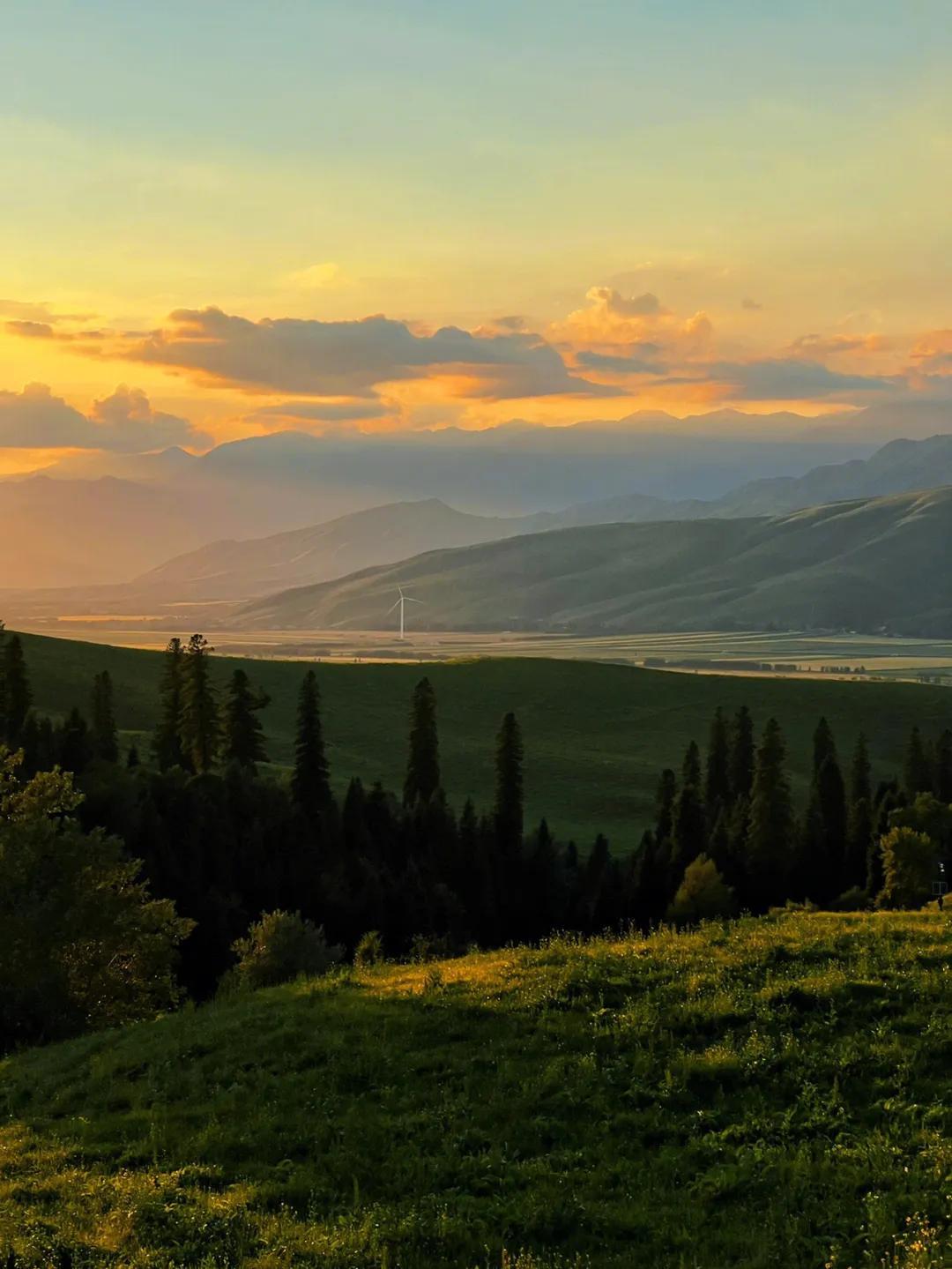 优美的小说短句(图11)