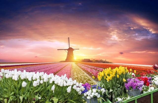 人生本过客，何必千千结！16句解结禅语，开心余生活它个无怨无悔(图4)