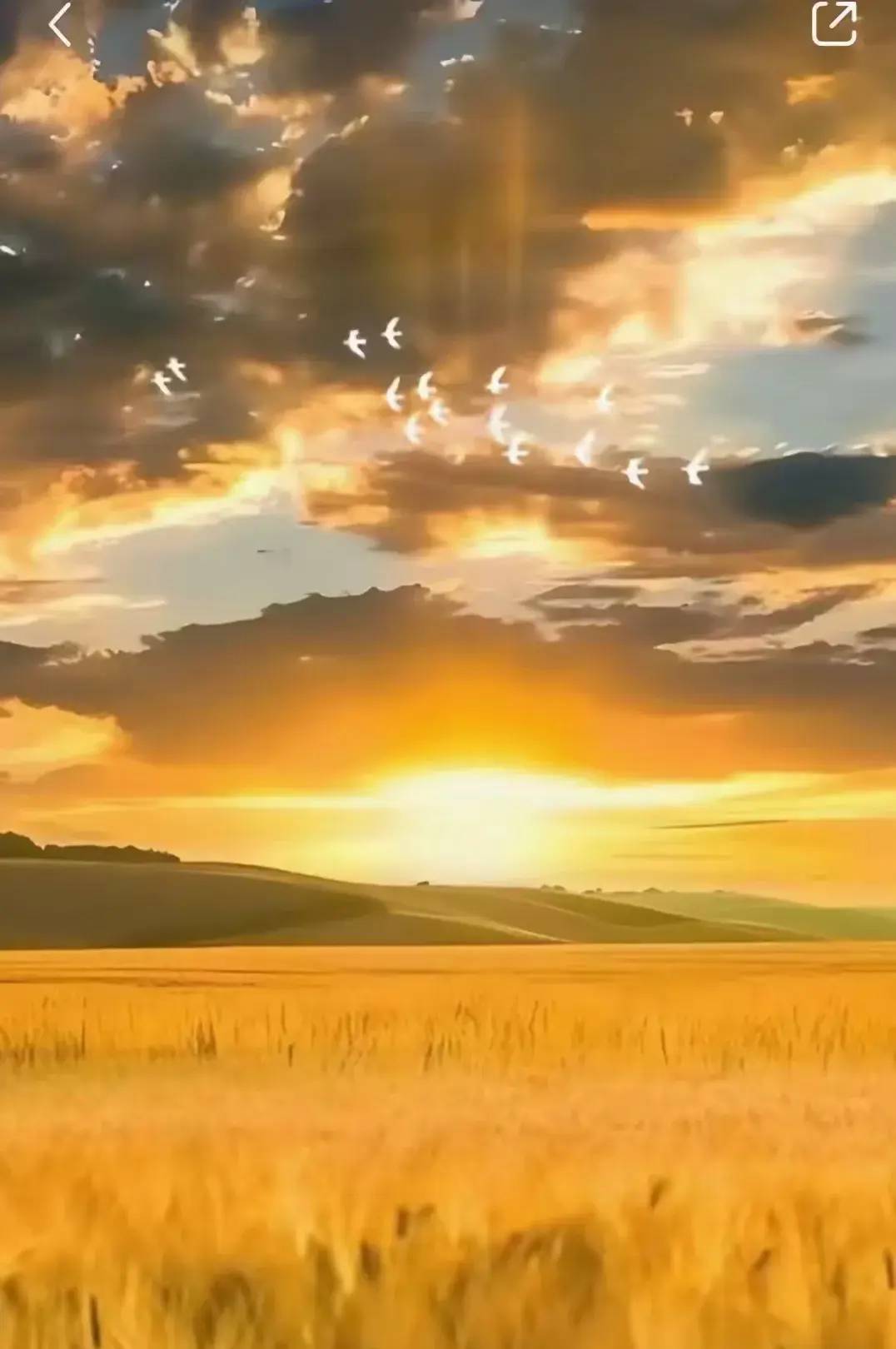 人生本过客，何必千千结！20句解结禅语，开心余生活它个无怨无悔(图6)