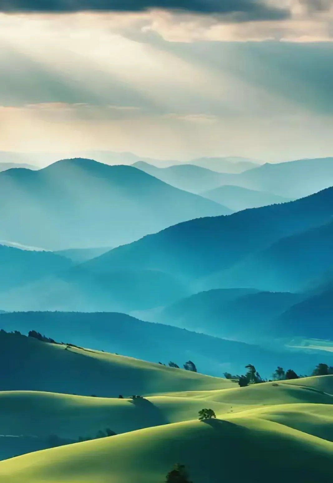 人生本过客，何必千千结！20句解结禅语，开心余生活它个无怨无悔(图7)