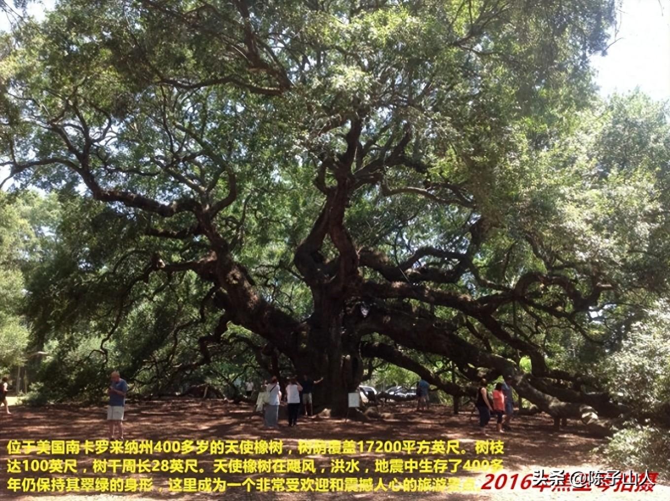 【经典名言荟萃】301 以自然之道，养自然之身(图1)