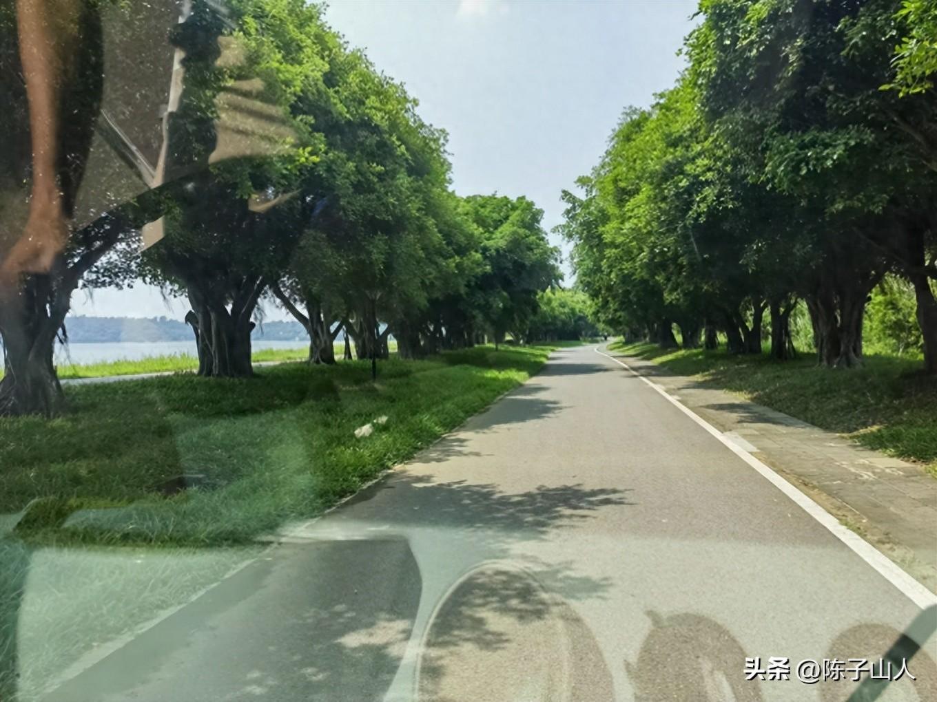 【经典名言荟萃】155 凡事顺其自然，淡泊养神，宁静养志(图1)