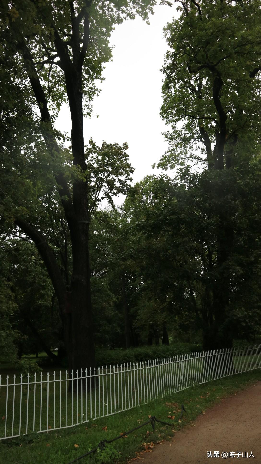 【经典名言荟萃】231 做人如兰，淡泊自然(图2)