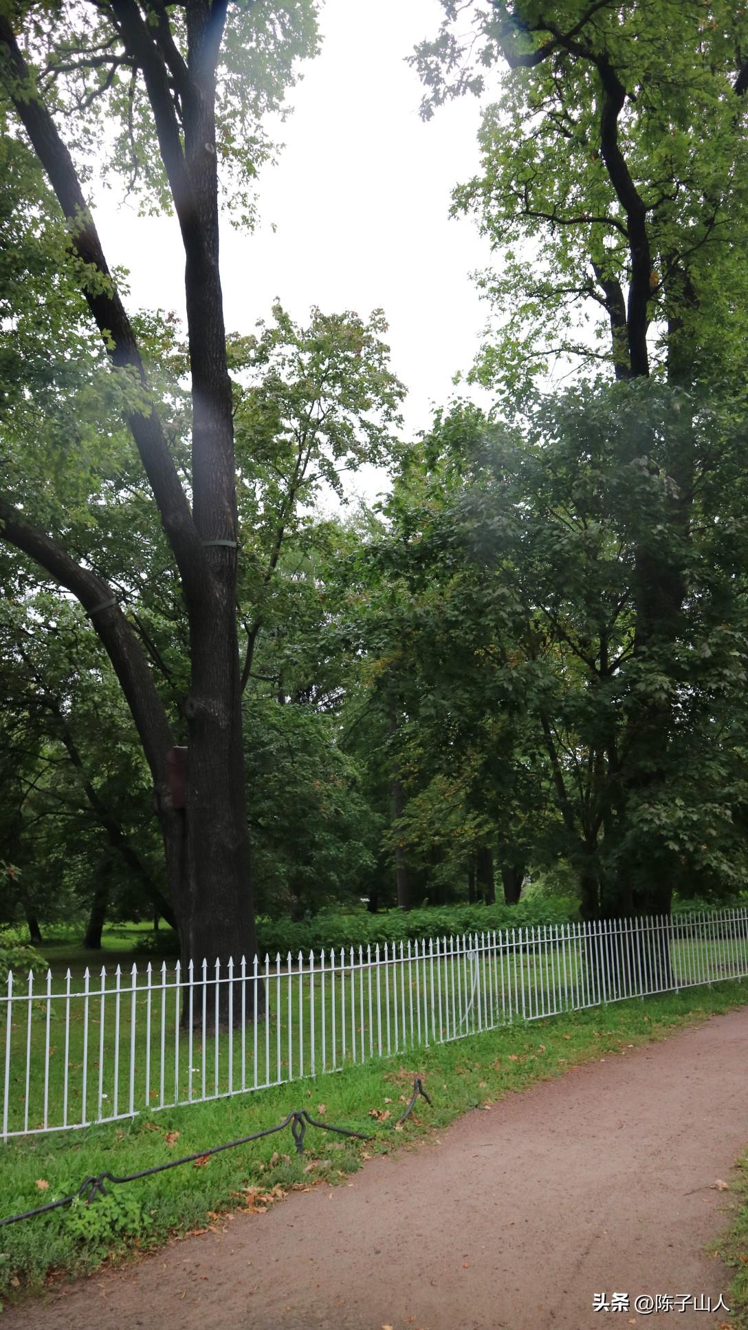 【经典名言荟萃】231 做人如兰，淡泊自然(图3)