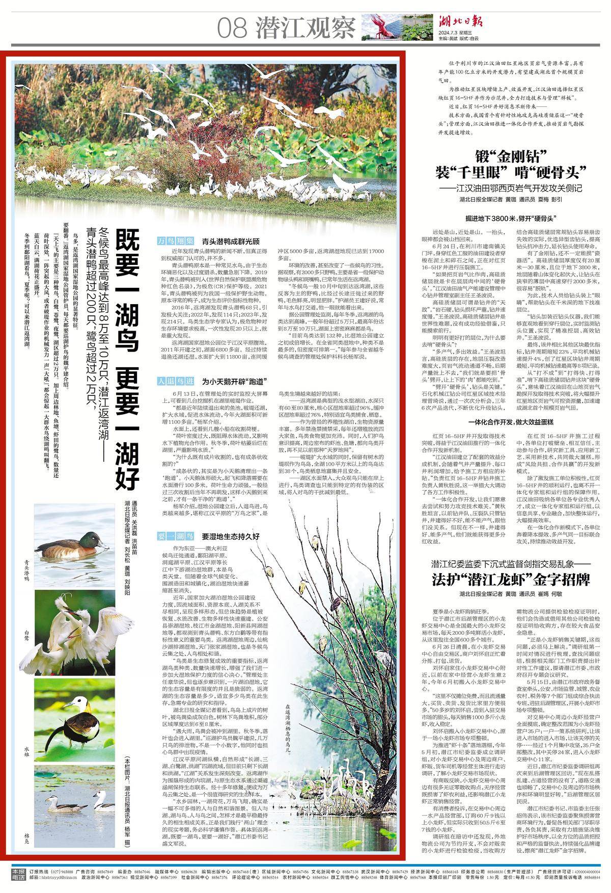 今日好稿丨既要一湖鸟，更要一湖好(图2)