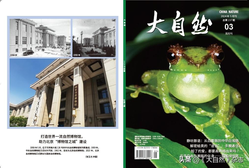 嘤嘤成韵，鸟类的“甜言蜜语”(图8)