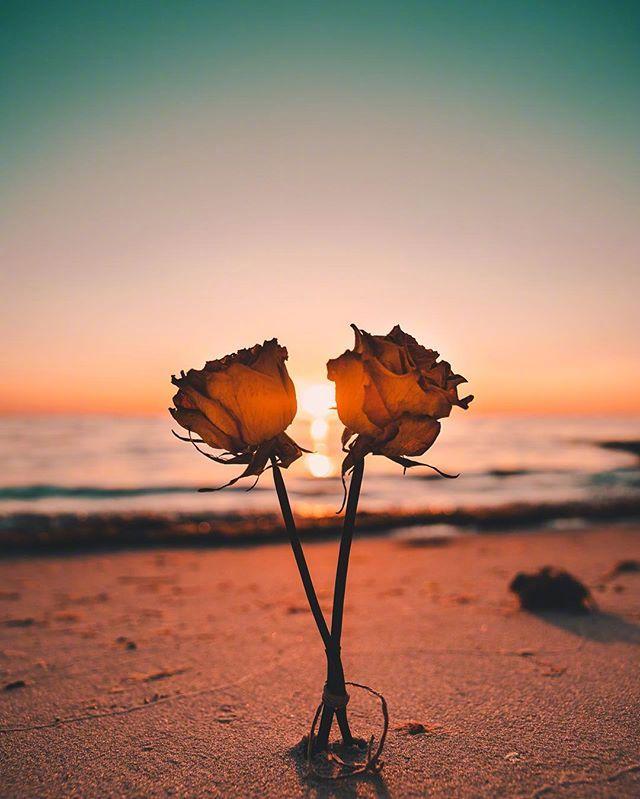 2024很舒服的心情说说，总有一句与你心有灵犀(图3)