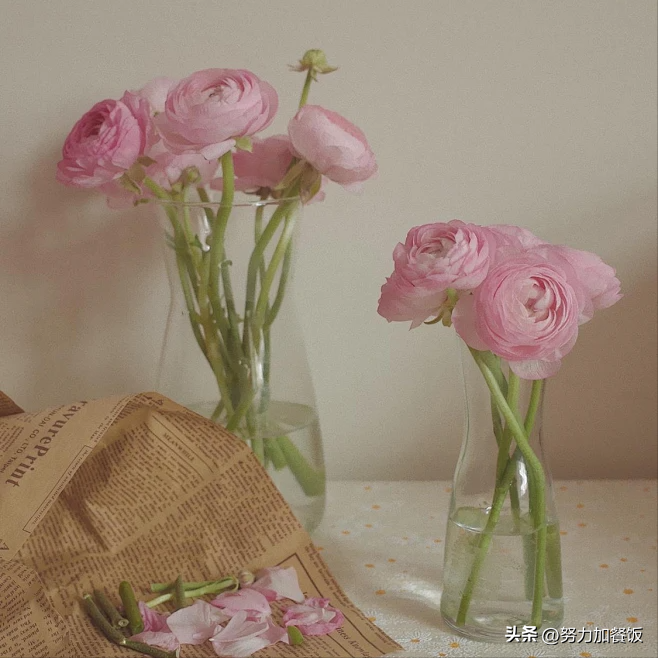 听起来简单舒服的的句子，发朋友圈人人点赞！(图3)