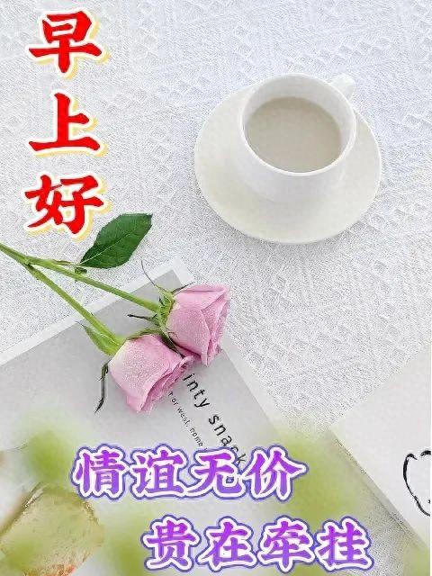 让人看了很舒服的句子，多感恩少计较的正能量人生感悟(图1)