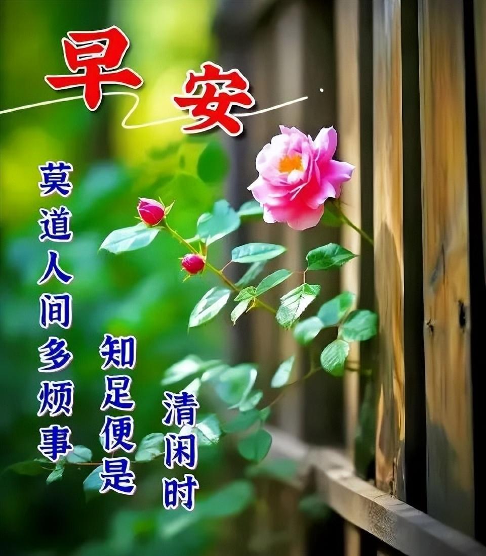 让人看了很舒服的句子，多感恩少计较的正能量人生感悟(图2)