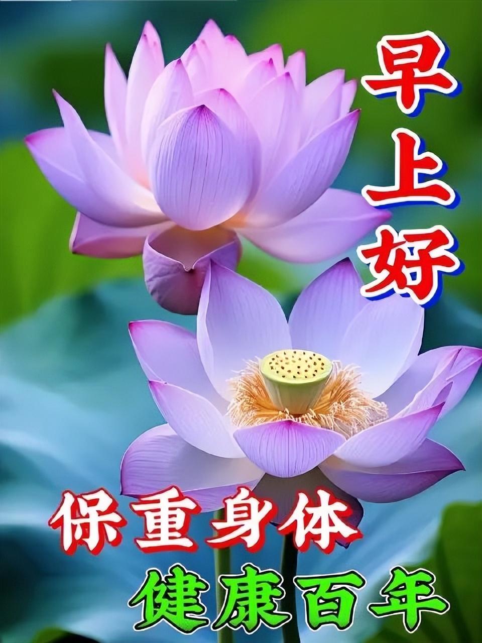 让人看了很舒服的句子，多感恩少计较的正能量人生感悟(图7)