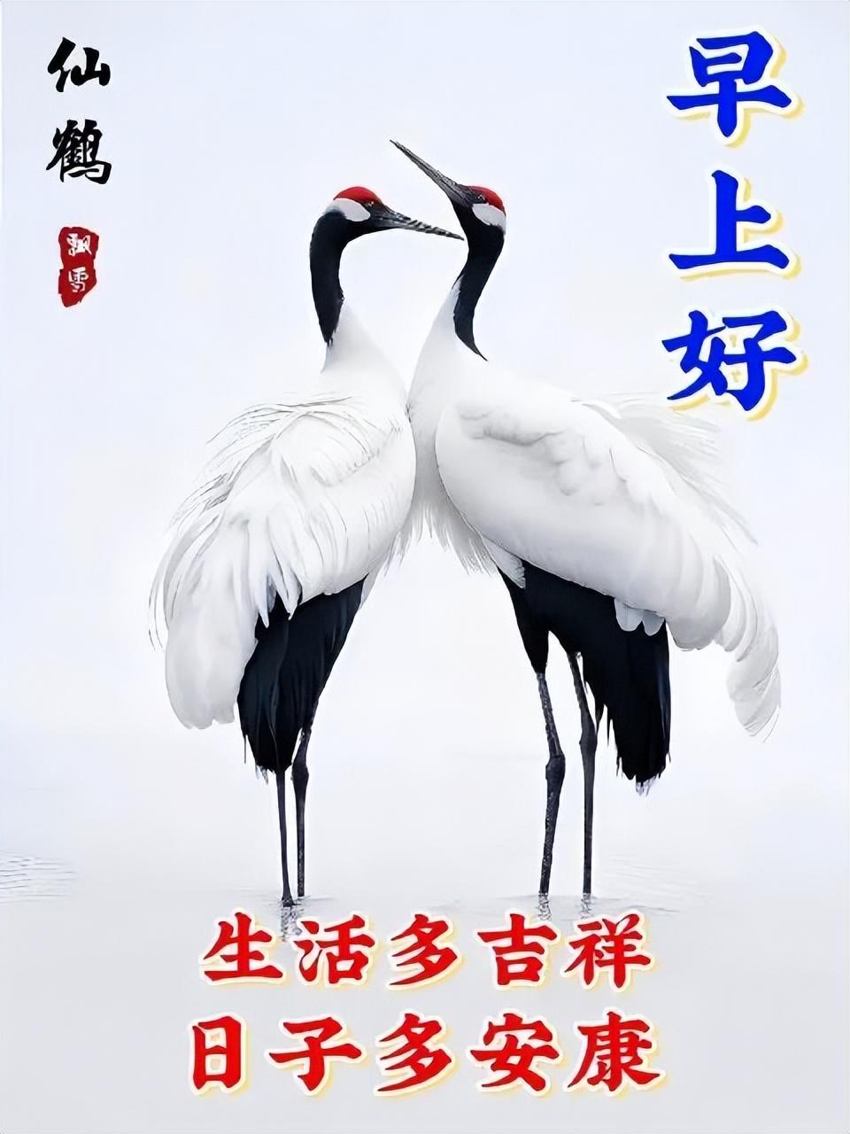 让人看了很舒服的句子，多感恩少计较的正能量人生感悟(图13)