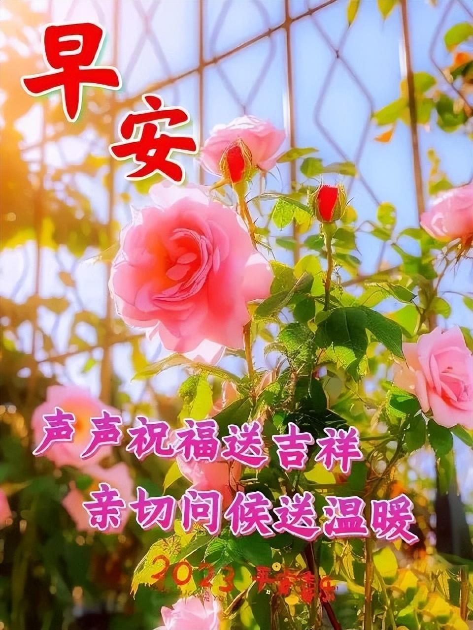 让人看了很舒服的句子，多感恩少计较的正能量人生感悟(图14)