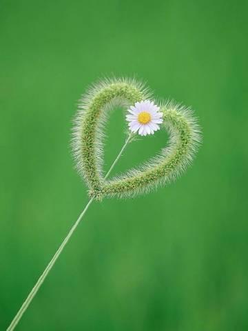 七月很舒服的心情说说，发朋友圈人人点赞！(图1)