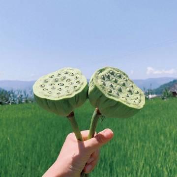 七月很舒服的心情说说，发朋友圈人人点赞！(图2)