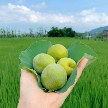 七月很舒服的心情说说，发朋友圈人人点赞！(图3)